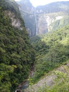 Amazonas