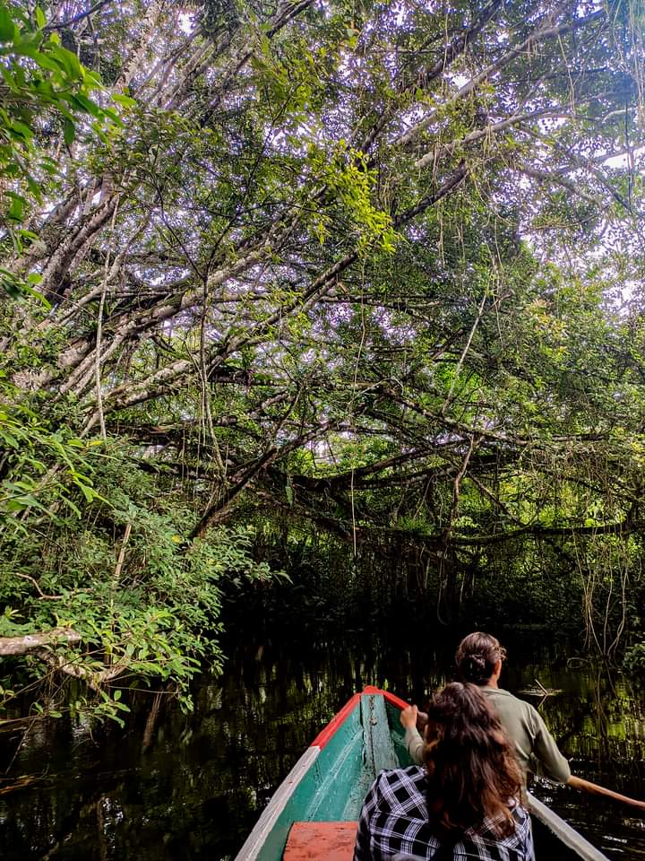 Reserva Ecológica Santa Elena